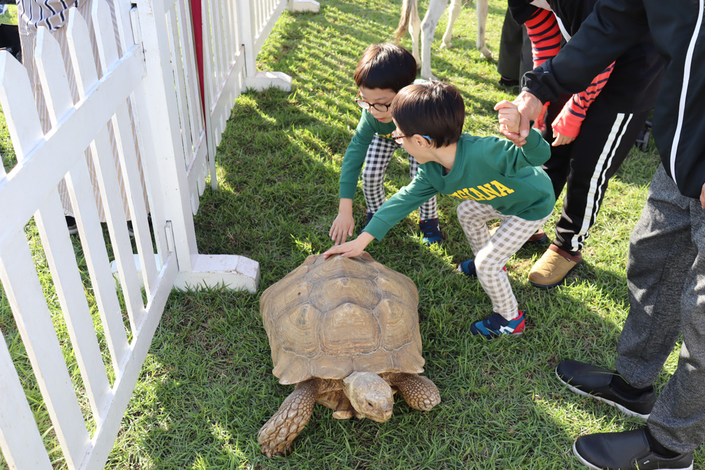◎ふれあい移動動物園を開催しました